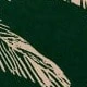 Verde Oscuro