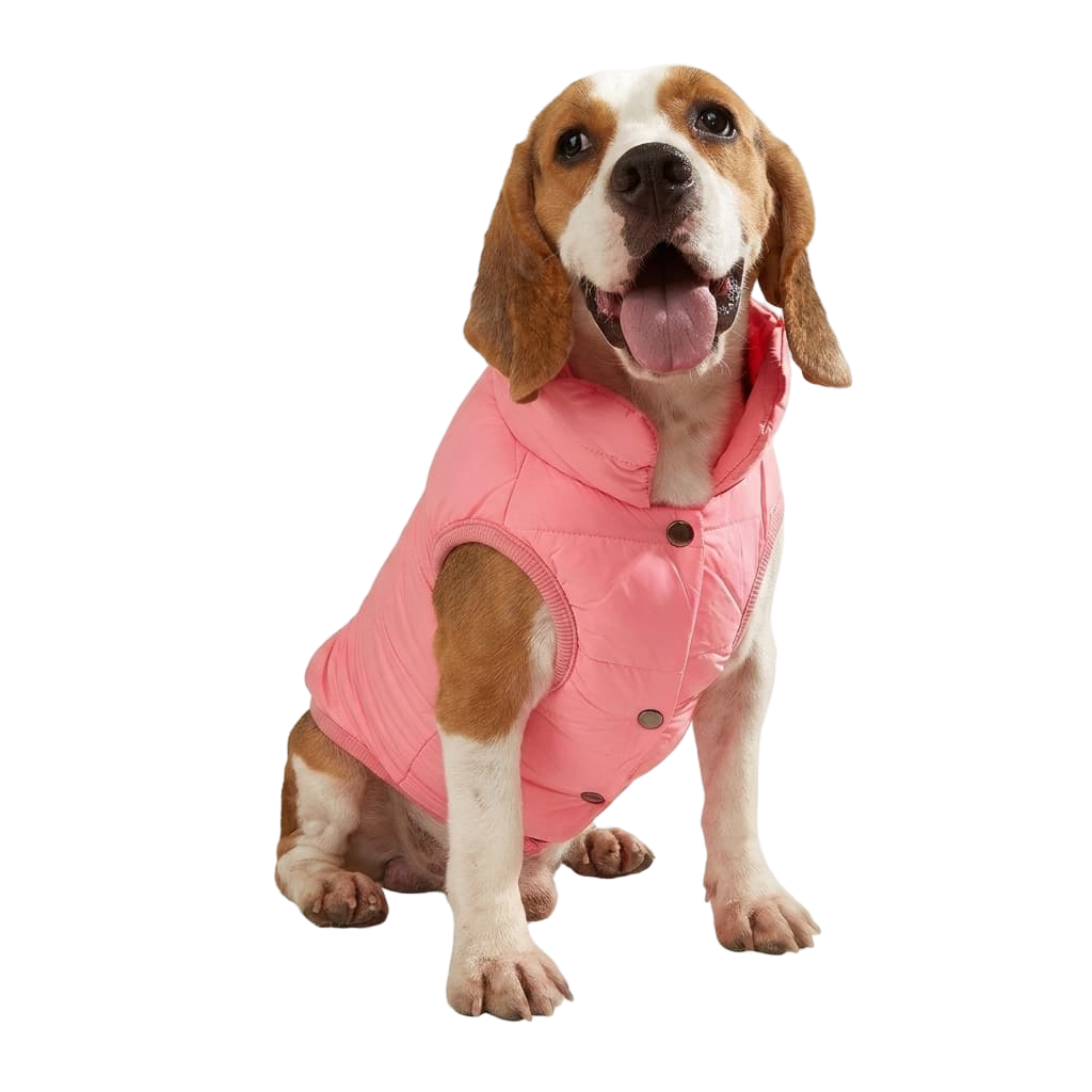 Suministros para mascotas 