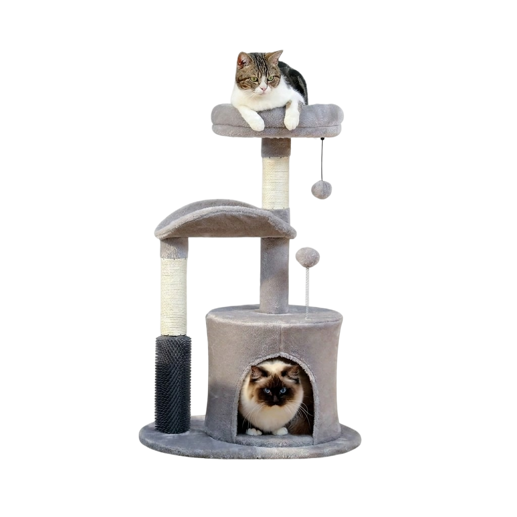 Pet Supplies