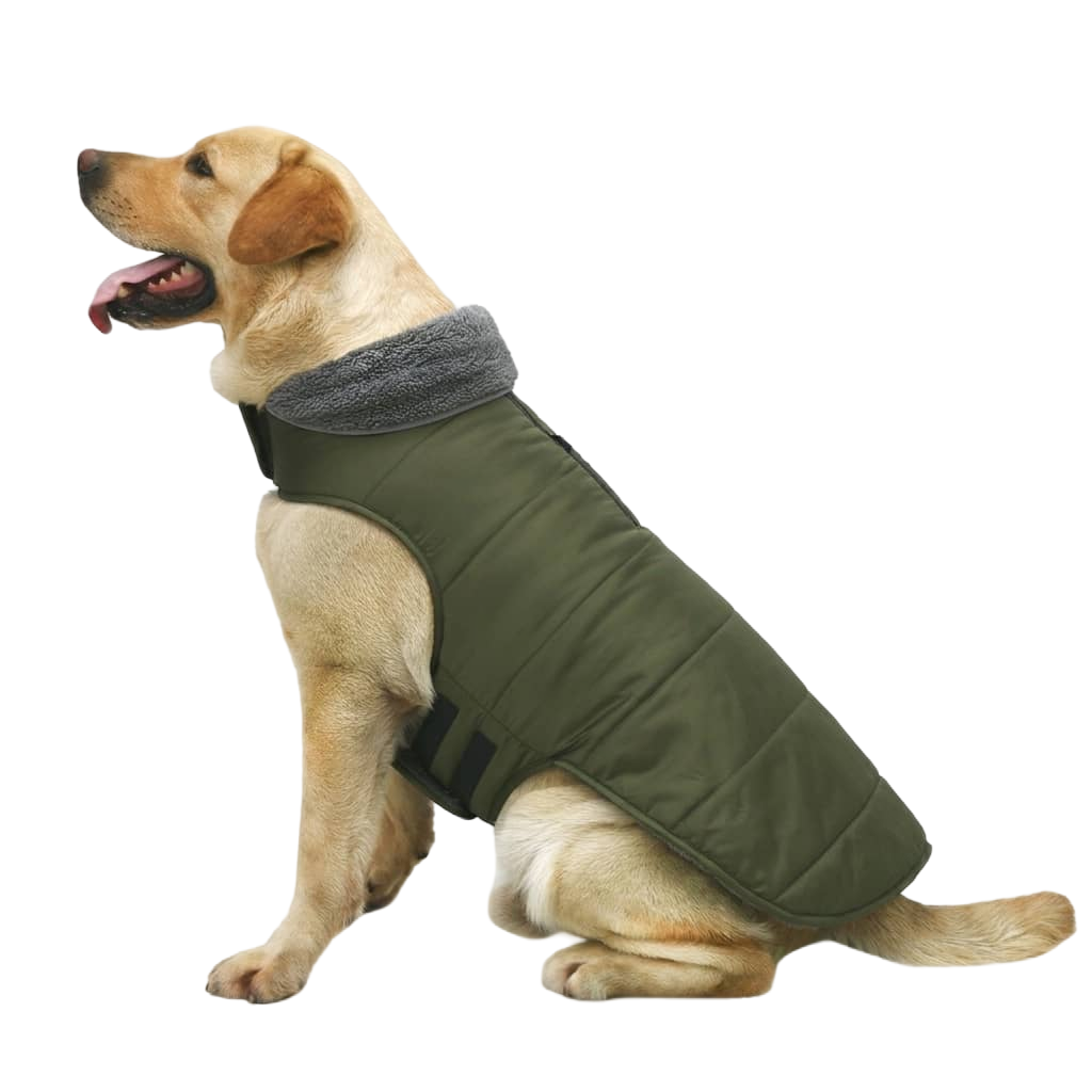 Dierenbenodigdheden
