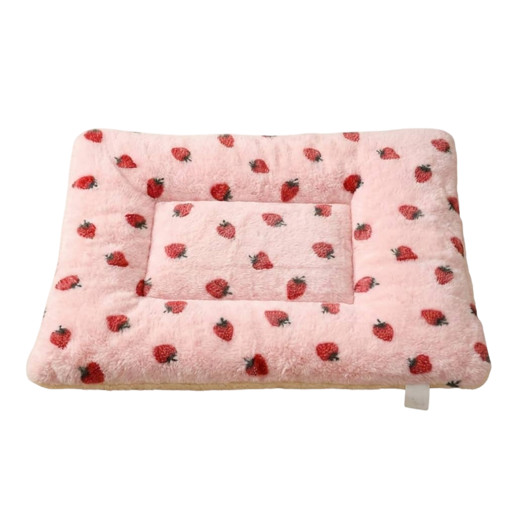 寵物用品 