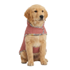 Suministros de mascotas
