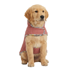 Pet Supplies 