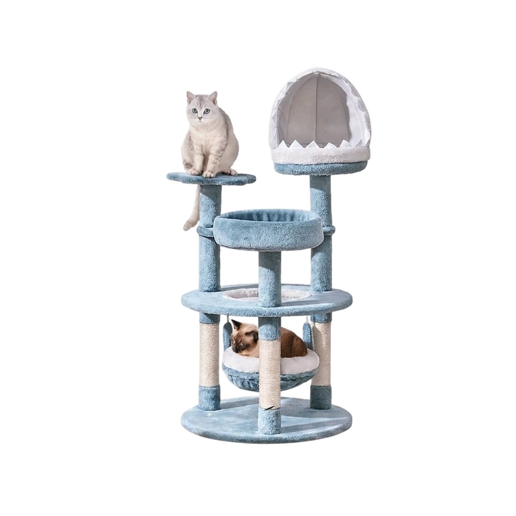Pet Supplies