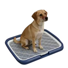 Prodotti Per Animali 
