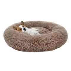 Pet Supplies 
