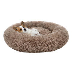 Pet Supplies 