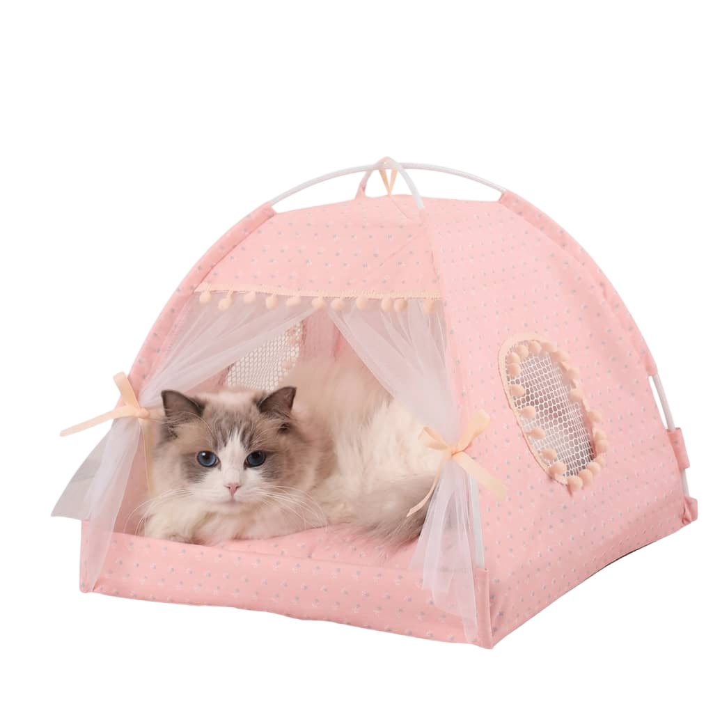 Pet Supplies 