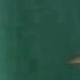 墨綠色