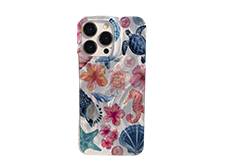 الهواتف الخلوية والاكسسوارات