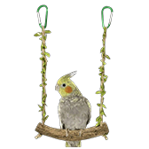 مستلزمات الحيوانات الأليفة 