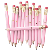 Office & School Supplies 