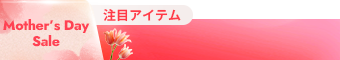 general belt