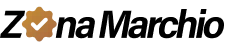 Area multi-brand