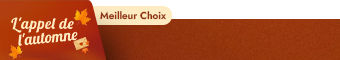 general belt