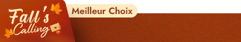 general belt