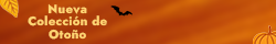 general belt