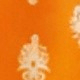 Coral Orange