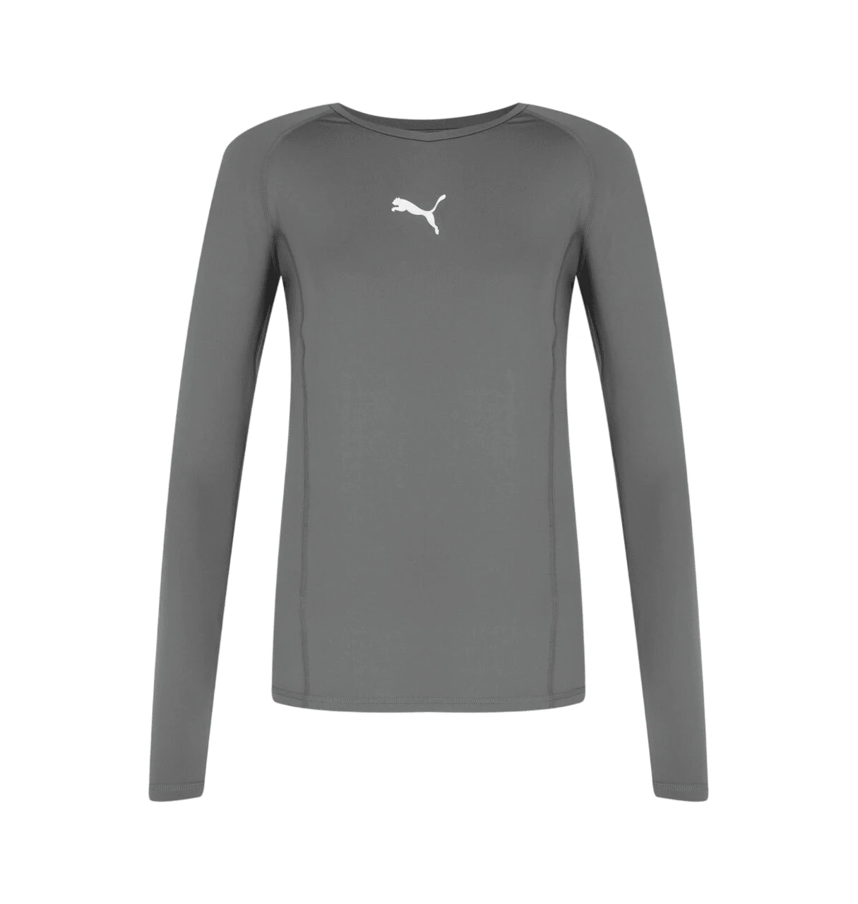Puma LIGA Baselayer Tee LS - Smoked Pearl - View 1