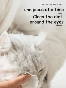 Pet - Specific Eye - Wipes, Which Can Gently Remove Tear Stains. 130 Pieces Per Pack, Suitable For Both Cats And Dogs.