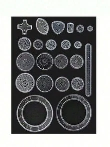 22pcs Educational Drawing Drawing Template Ruler Educational Toy Set - Interlocking Gears And Wheels Drawing Accessories With Ruler - Develops Fine Motor Skills And Creativity