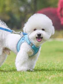 1pc Breathable & Comfortable Mesh Dog Harness With Reflective Strips, Snug Fit - Mauve Purple - View 9