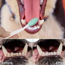 5pcs Dog Toothbrush Kit: Double-Sided Soft Silicone For Gentle Cleaning & Long Curved Handle For Easy Reach!