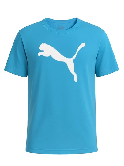Puma TeamRISE Men's T-Shirts