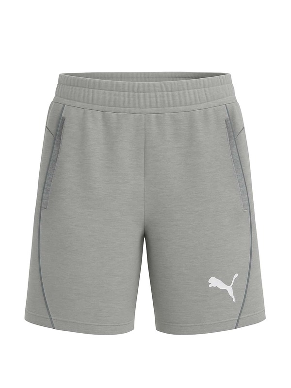 Puma Teamfinal Women's Shorts Grey