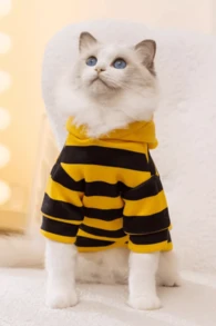 PETSIN 1 件宠物运动衫，宠物蜜蜂变身服装，适合所有季节，适合 8 公斤以下的宠物 - 黃色 - 查看 5