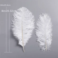 5/10件 20-25厘米人造白色羽毛工艺品 DIY 情人节礼物包装配件派对羽毛缝纫服装配饰羽毛婚礼珠宝制作家居装饰 - 彩色 - 查看 3