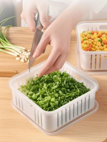 极简清仓 葱姜水果厨房家用冰箱收纳盒密封保鲜盒蒜蓉储物盒葱姜格子方形可沥水 - 無色 - 查看 8