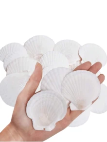 10 vỏ sò điệp tự nhiên lớn, 4''-5'' (10-12cm) 2''-3'' (5-8cm) Vỏ sò lớn dùng làm đồ thủ công, vẽ tranh tự làm, nướng bánh và trang trí đám cưới trên bãi biển - Vỏ sò trắng lớn dùng làm số lượng lớn cho tiệc theo chủ đề đại dương và trang trí nhà cửa Tiệc bãi biển Quà tặng tốt nhất Sinh nhật Tốt nghiệp - 10 chiếc - Xem 6