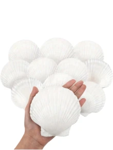 10 vỏ sò điệp tự nhiên lớn, 4''-5'' (10-12cm) 2''-3'' (5-8cm) Vỏ sò lớn dùng làm đồ thủ công, vẽ tranh tự làm, nướng bánh và trang trí đám cưới trên bãi biển - Vỏ sò trắng lớn dùng làm số lượng lớn cho tiệc theo chủ đề đại dương và trang trí nhà cửa Tiệc bãi biển Quà tặng tốt nhất Sinh nhật Tốt nghiệp - 10 chiếc - Xem 1