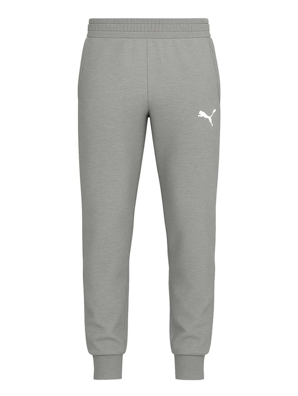 Puma Teamgoal Men Sweatpants Grey