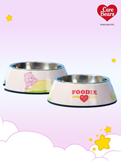 Care Bears X PETSIN Modern Style Dual-Layer Pet Food Dish, Combines Stainless Steel And Sleek Melamine, Non-Skid Easy Clean Design