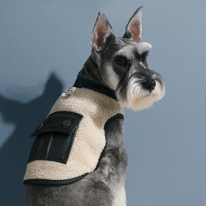 PETSIN 1件宠物服装，帅气黑色拼接皮夹克，猫狗秋冬季保暖外套