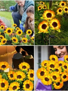 1Pc Outdoor Garden Decorative Solar Lights - Solar Garden Lights With 3 Sunflowers / Sapphires Waterproof Solar Lights For Outdoor Auto On / Off Garden Decorative Lights For Garden Terrace Courtyard - Yellow - View 6