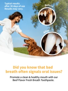 PETSIN Beef Flavored Pet Toothpaste For Dogs & Cats - 2.12oz With Dual-Ended Toothbrush, Gently Cleans Teeth & Freshens Breath, Complete Dental Care Kit For Daily Oral Hygiene