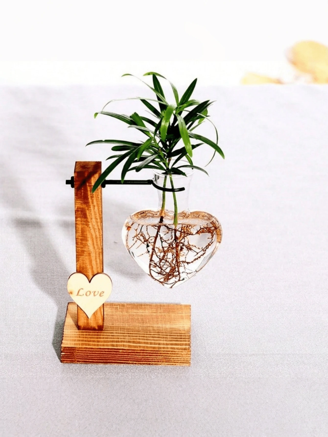 1 Bình thủy tinh trồng cây thủy canh, khung gỗ hình trái tim đựng hoa khô, bình trồng cây để bàn hiện đại cho cây mọng nước, trang trí bàn ăn mùa thu kiểu nông trại, trang trí nhà cửa và phòng ngủ cho nữ, quà tặng sinh nhật, Giáng sinh, tốt nghiệp. - Nhiều phong cách - Xem 1