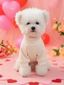 PETSIN 一件猫狗图案刺绣字母服装。宠物情人节套头衫，舒适的春季装扮。 - 白色 - 查看 5