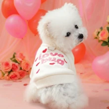 PETSIN 一件猫狗图案刺绣字母服装。宠物情人节套头衫，舒适的春季装扮。 - 白色 - 查看 2