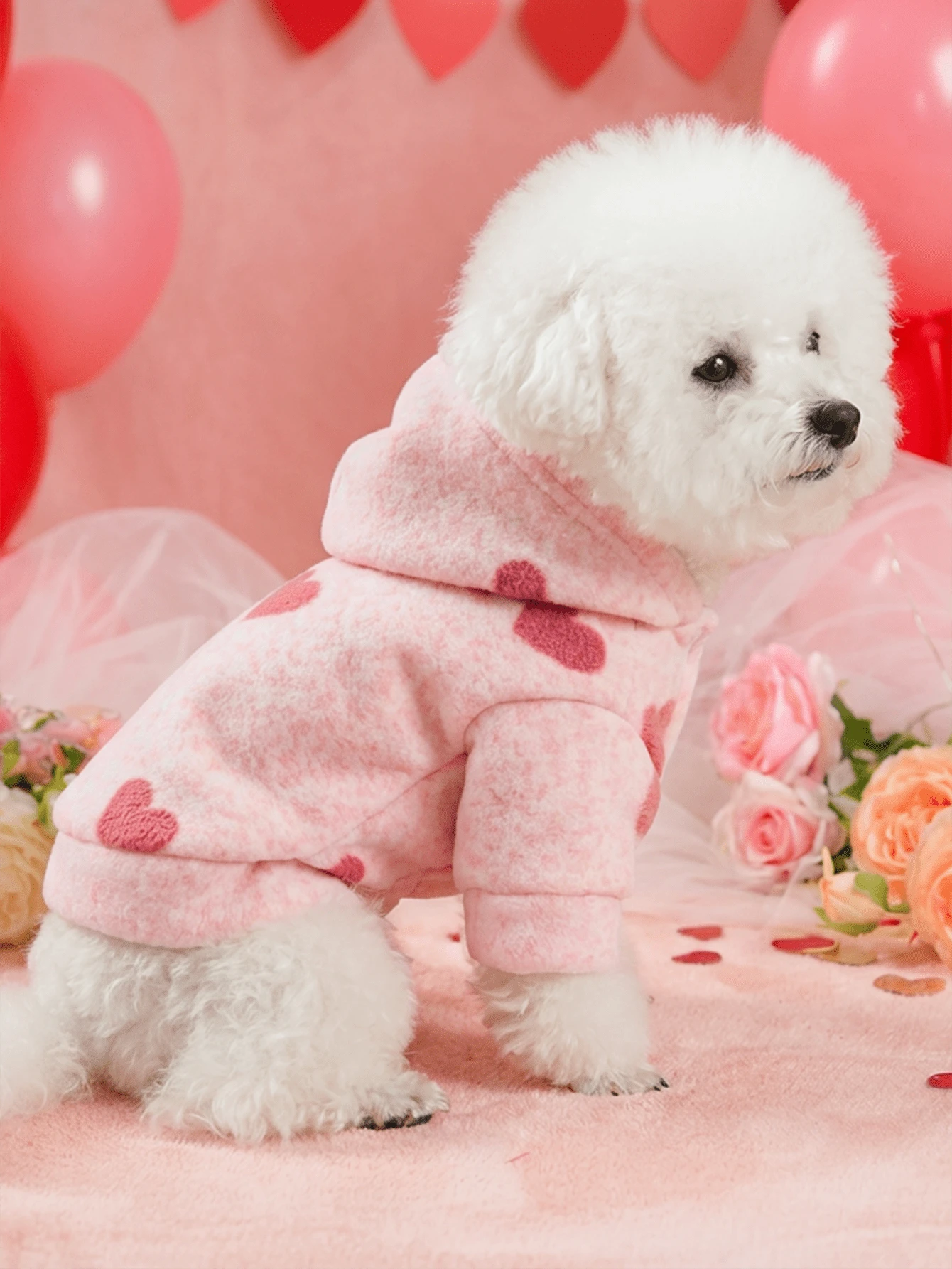 PETSIN 1件猫狗通用服装，粉色心形情人节外套，宠物加厚保暖连帽休闲服