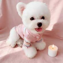 PETSIN Small Dog Pet Clothing Waterproof Puppy Pet Jacket Winter Warmth Vest Dog Coat Suitable For Cats And Dogs - Multicolor - View 3