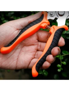 1件，园艺修枝剪有两种款式：树木修剪剪、修枝剪、手持修枝剪、园艺剪、花园剪、盆景剪和修枝剪。 - 芥末黃 - 查看 6