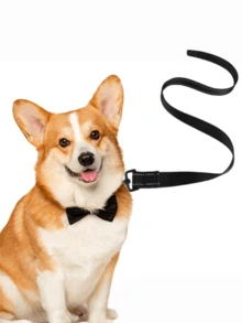 1pc Nighttime Reflective Dog Leash, Pp Explosion-Proof Handle Pad, Comfortable Grip, One Leash For Multiple Dogs - Black - View 2
