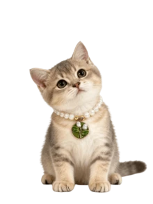 PETSIN قلادة قطة أو كلب بقلادة زهرة اللؤلؤ، قابلة للتعديل الحجم، إكسسوار ديكور للحيوانات الأليفة، مستلزمات الحيوانات الأليفة - متعدد الألوان - مشاهدة 15