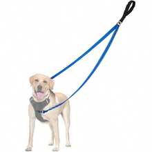 Two Point Control Dog Leash, Works With No Pull Harnesses, Dog Training Leashes, No Pull Padded And Reflective Walking Lead, Converts To Single Leash For Medium Large Dogs - Multicolor - View 5