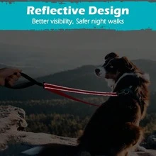 Two Point Control Dog Leash, Works With No Pull Harnesses, Dog Training Leashes, No Pull Padded And Reflective Walking Lead, Converts To Single Leash For Medium Large Dogs - Multicolor - View 3