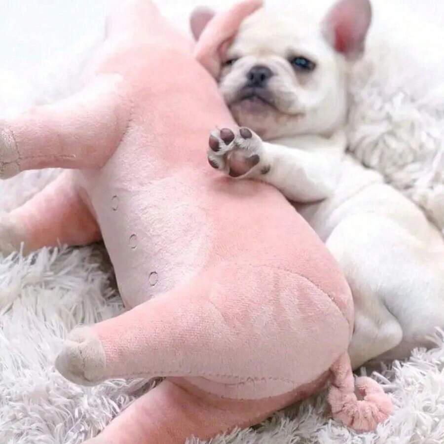 1pc Pink Cute Lifelike Simulation Pig/Cat/Dog Toy For Stress Relief - Pink - View 1